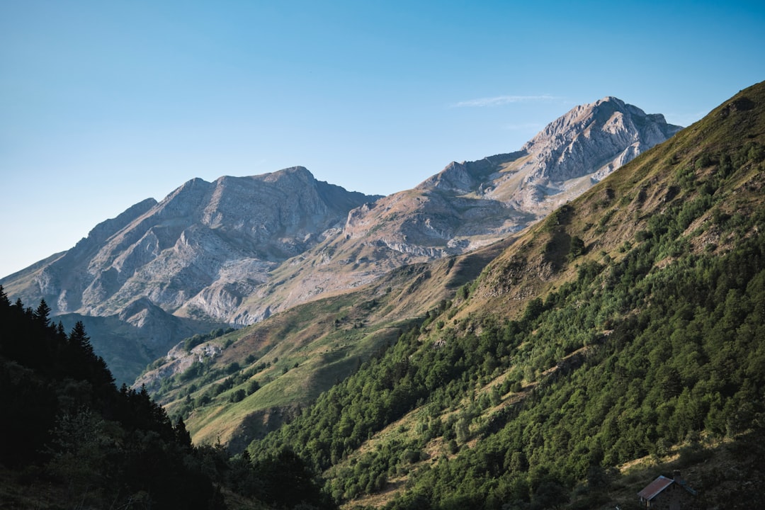 Pirineo recibe inversión del 50%: impulso económico y nuevas oportunidades 1 Paisaje montañoso y verde de los Pirineos